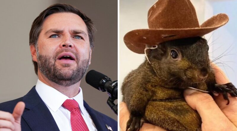 JD Vance P'Nut